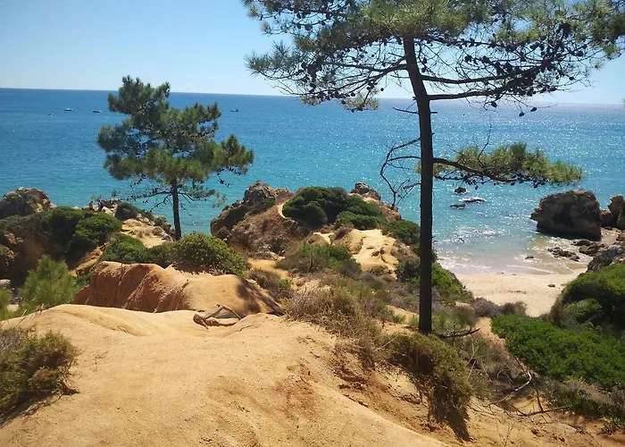 Apartmán 2 A 500m De La *